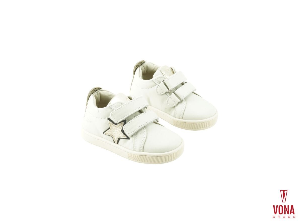 Sneakers Balducci Cita6642